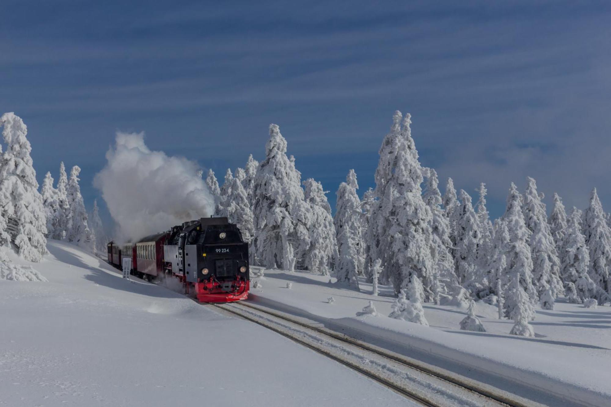 Fewo Schloesschen #Innenstadt#Garten#Ruhige Lage Von Harztraveler Wernigerode Ngoại thất bức ảnh